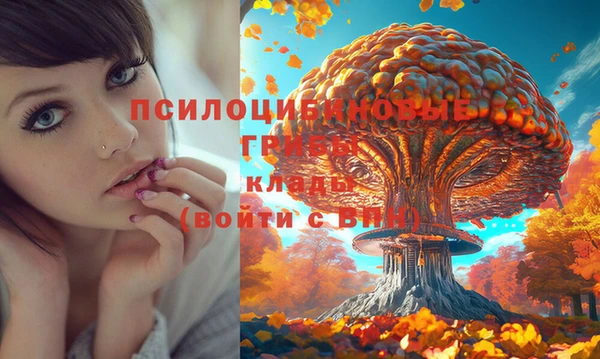 ALPHA PVP Армянск