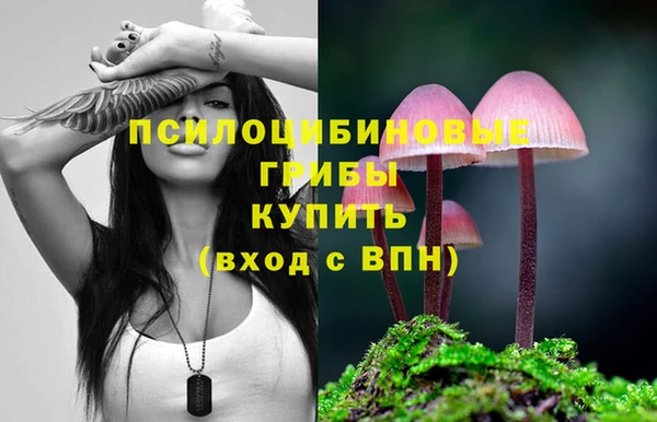 ALPHA PVP Армянск