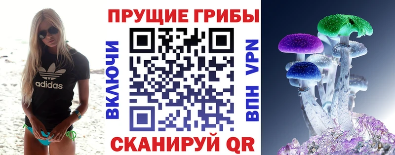 хочу наркоту  Волгоград  Псилоцибиновые грибы Psilocybine cubensis 